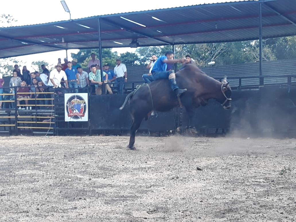 toros1